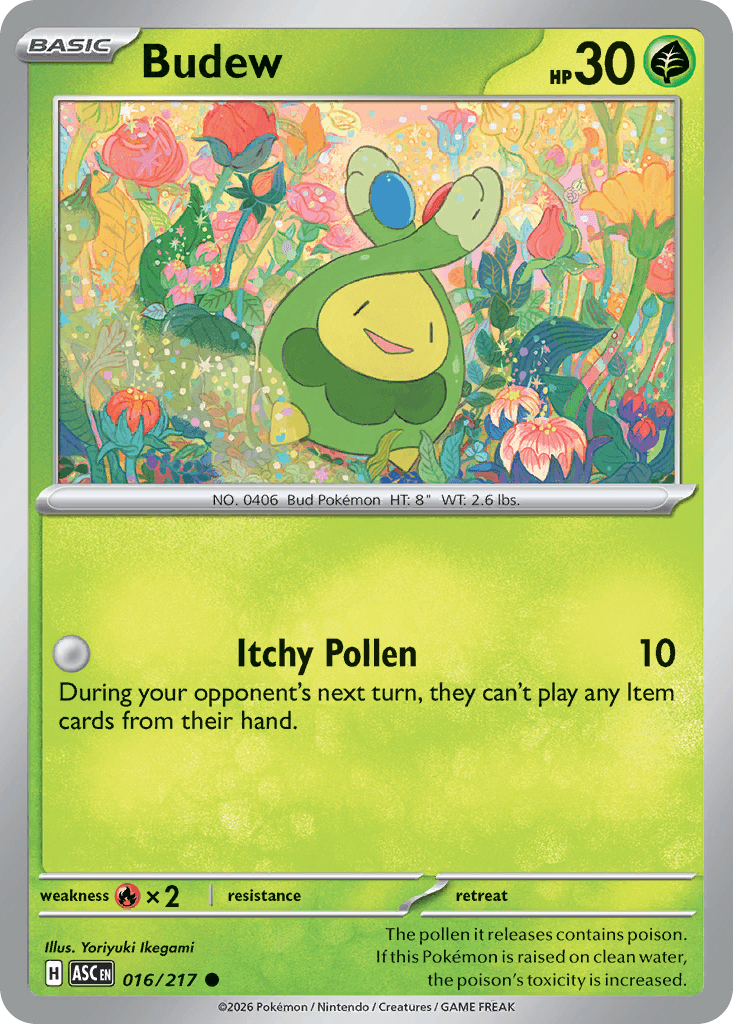 Budew - 016/295 - Ascended Heroes - Normal